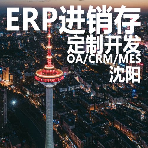 沈阳erp进销存软件系统定制开发oa办公crm客户mes生产hr管理系统